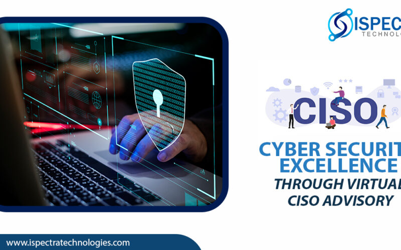 Cyber security Excellence through Virtual CISO Advisory