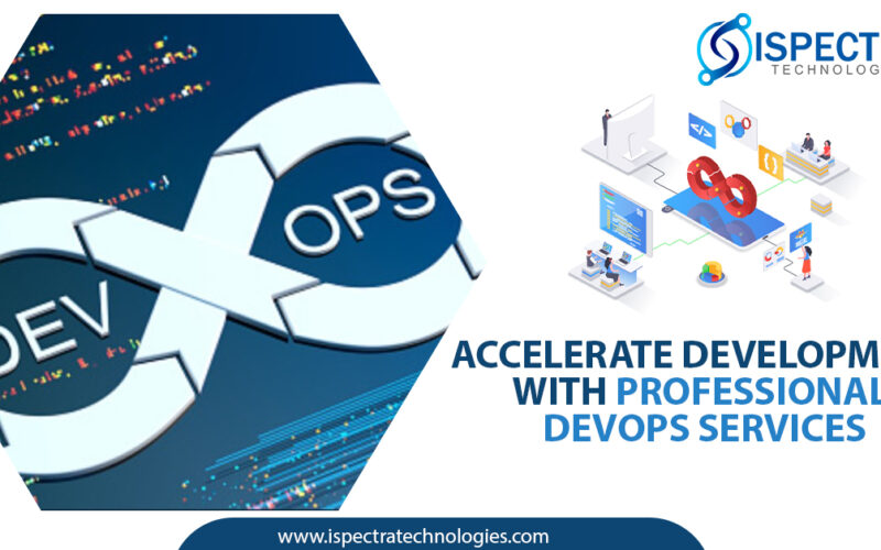 Accelerate Development with Professional DevOps Services